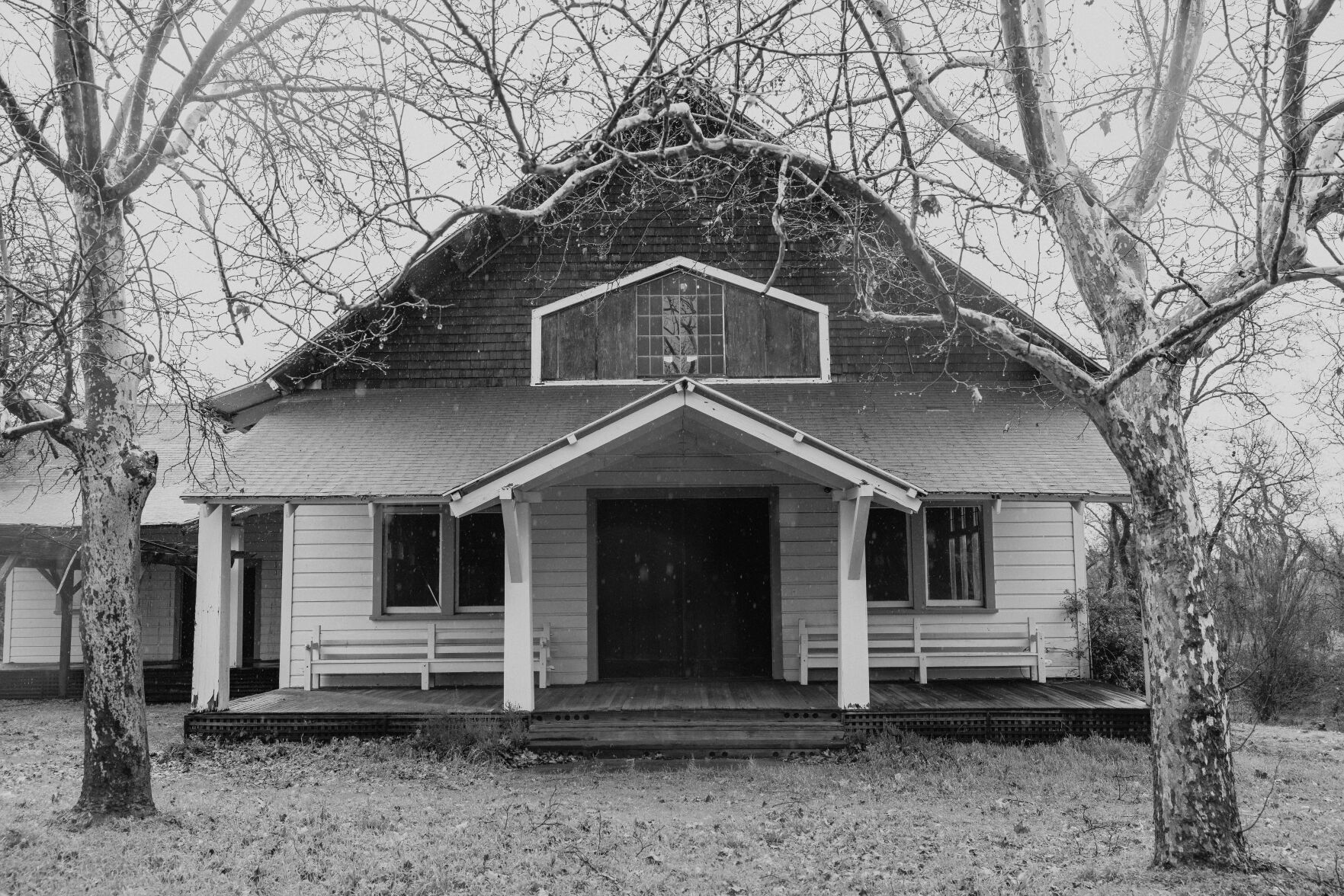 Aetna Springa BW